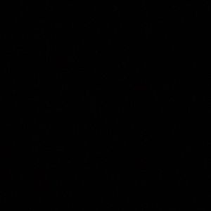 Meet your Posher, Carlos